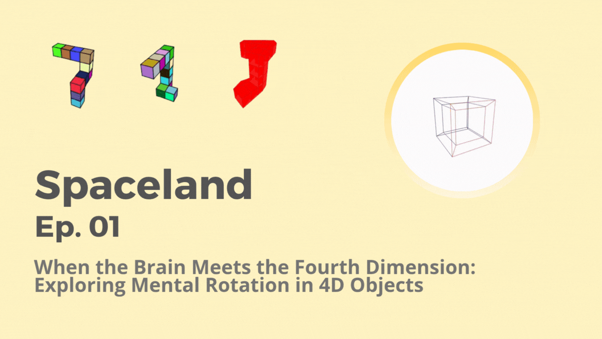 4d object geometry