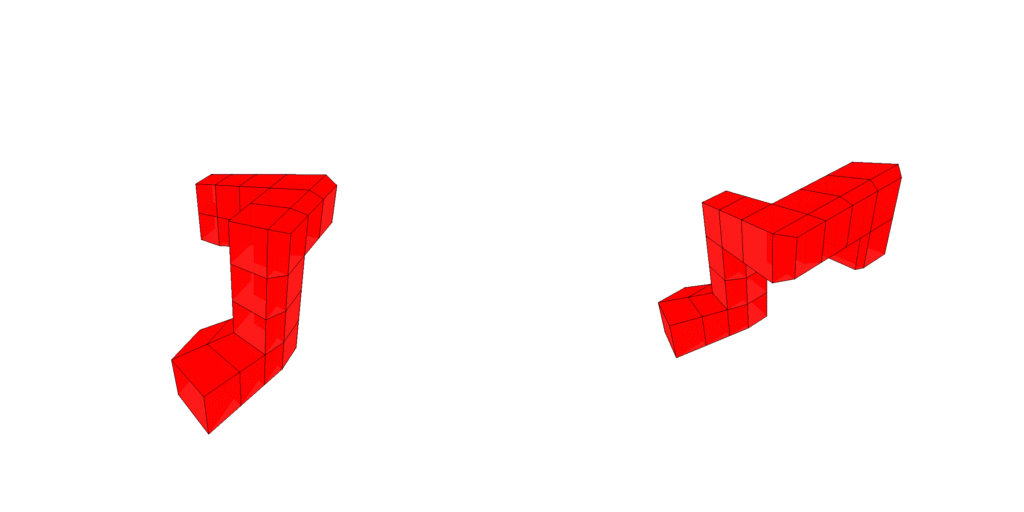 4D metzler shape